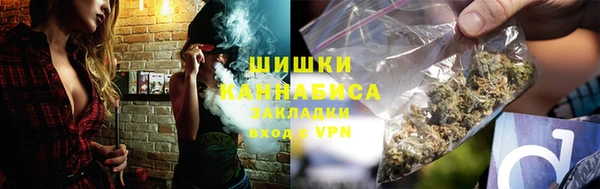 крисы Богданович