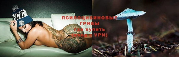 крисы Богданович