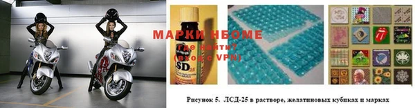 стаф Богородск