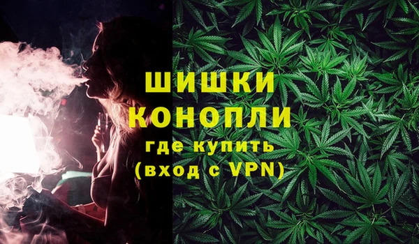 стаф Богородск