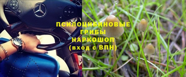 крисы Богданович