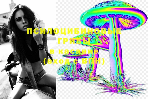 крисы Богданович
