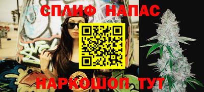 индика Кинель