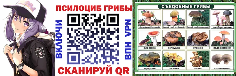 продажа наркотиков  OMG рабочий сайт  Галлюциногенные грибы Magic Shrooms  Надым 