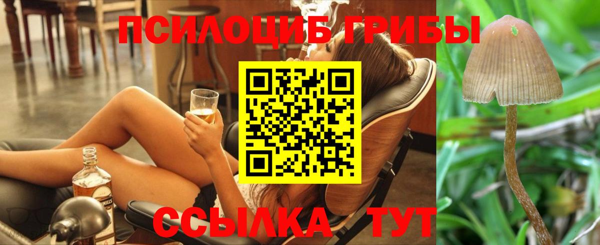 Надым  Псилоцибиновые грибы Psilocybine cubensis  Галлюциногенные грибы мухоморы  Вход с VPN 