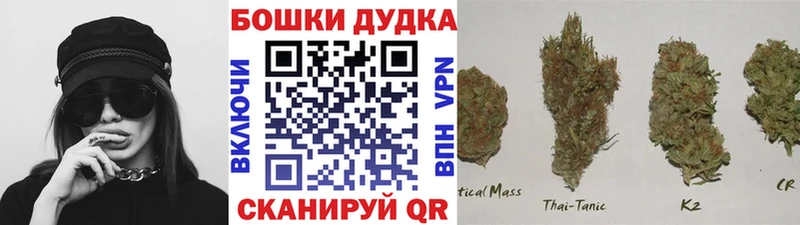kraken   Надым  МАРИХУАНА план 